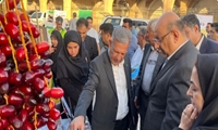 افتتاح نمایشگاه دستاوردهای جهاد جنوب کرمان در هفته دولت در کرمان با حضور معاون وزیر جهاد کشاورزی